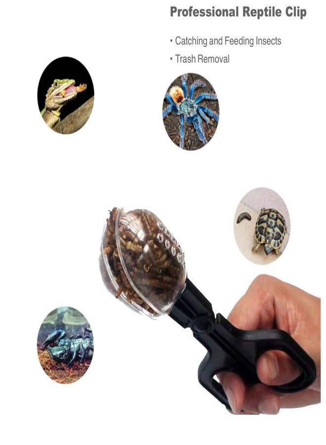GCFTIFF Reptile Long Handle Feeding Tools,2Pcs Extra Long Stainless Steel Reptile Feeding Tongs with Rubber Tip, 1Pcs Reptile Feeding Spoon, 1Pcs Plastic Reptile Feeding clamp,Terrarium Feeder Tool - Image 4